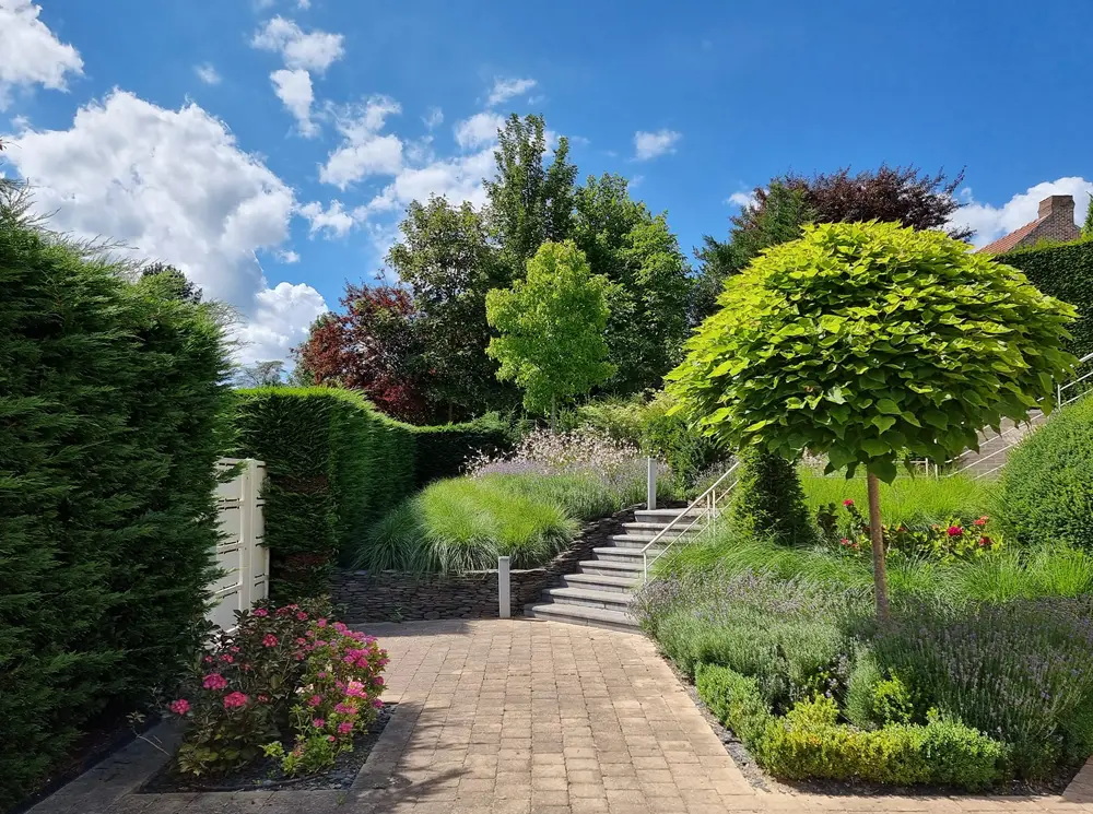 Aménagement extérieur